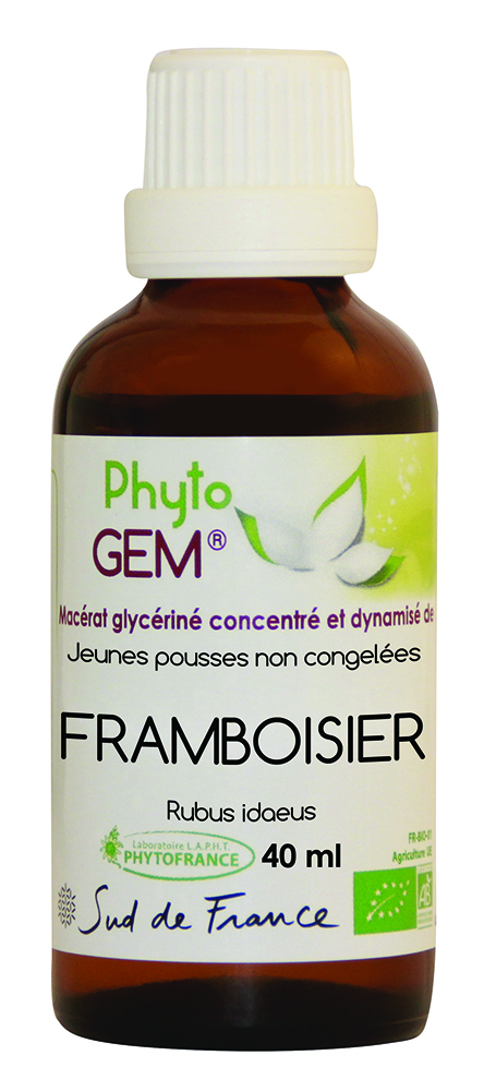 FRAMBOISIER phyto gem 40 ml