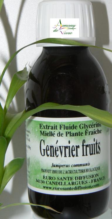 GENEVRIER FRUITS juniperus communis 125 ml