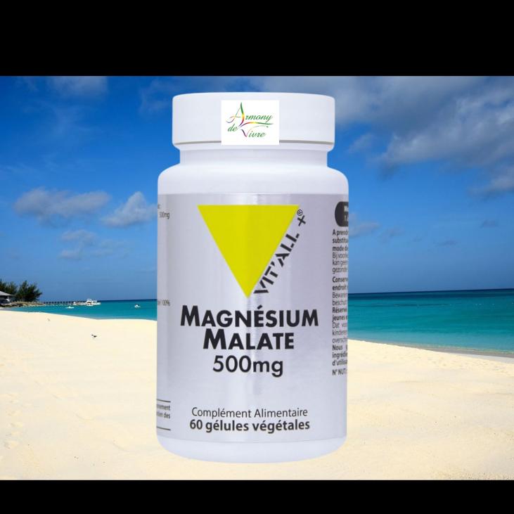 Magnesium Malate  Biodisponibilité optimal 60 GELULES VIT'ALL+