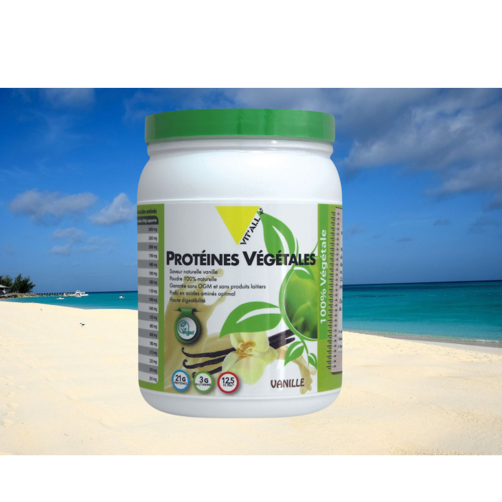 Protéines Végétales Plant Fusion parfum vanille 454g  VITT'ALL+
